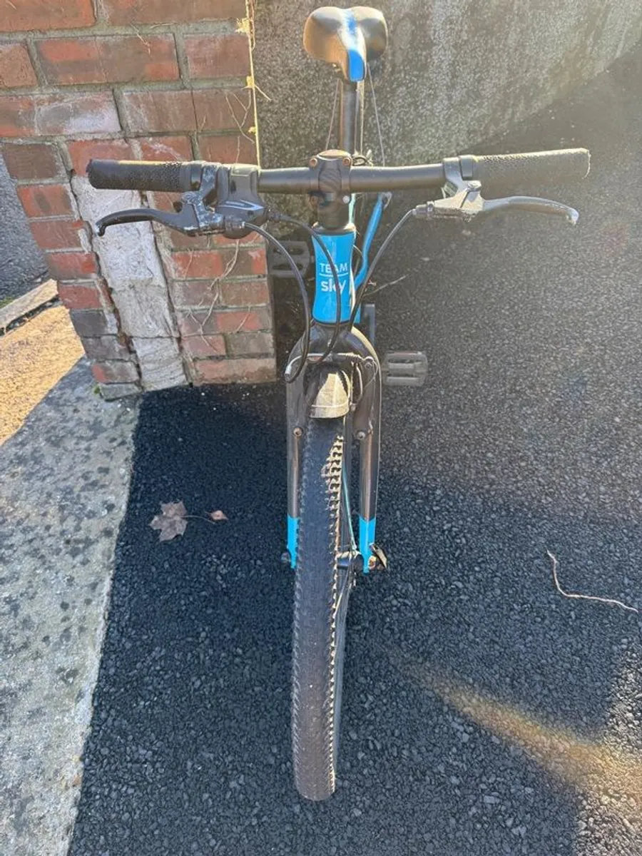 Frog 62 Children's Bike - Image 2