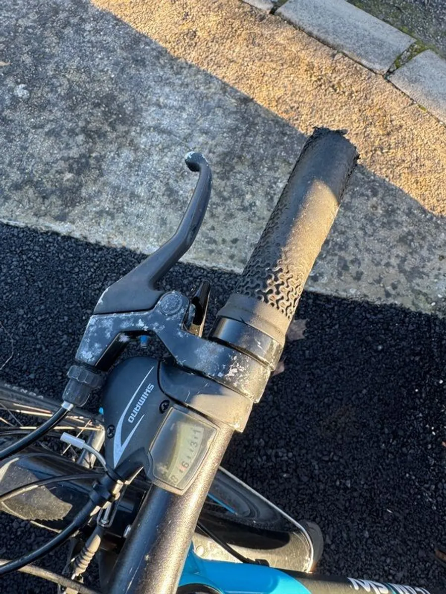 Frog 62 Children's Bike - Image 4