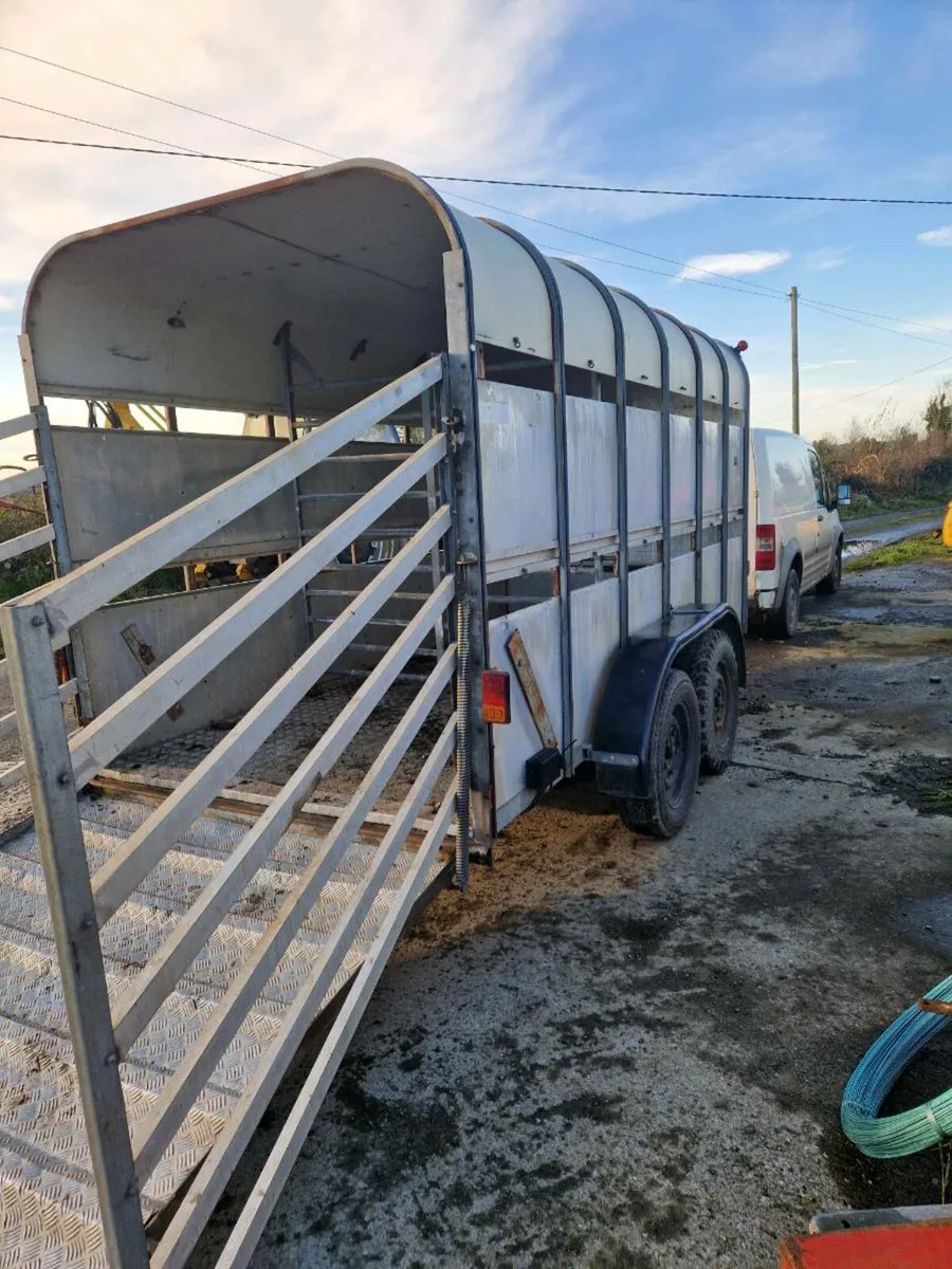 Cattle trailer - Image 3