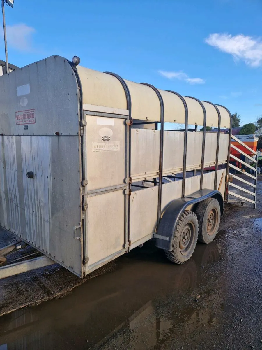 Cattle trailer - Image 1