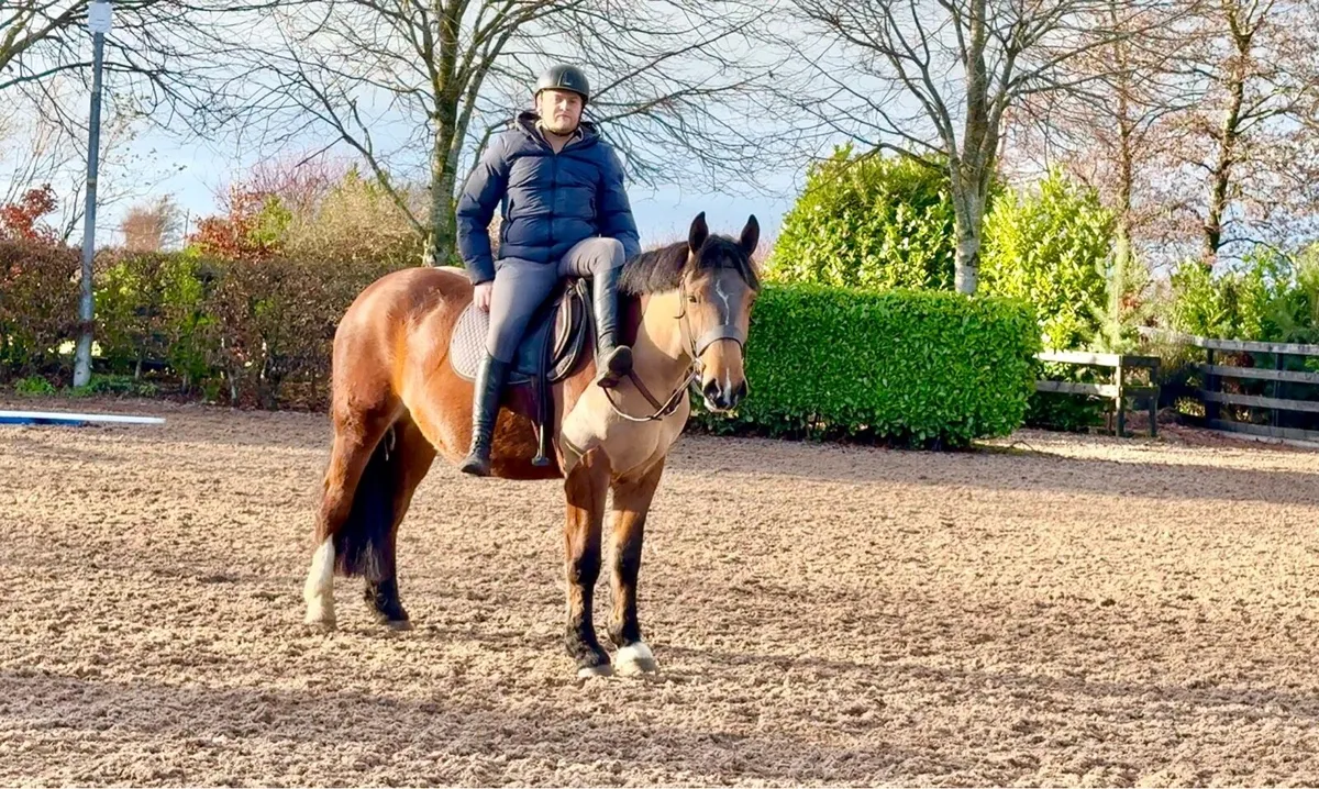 BIG COB- QUIET 😍😍 - Image 2