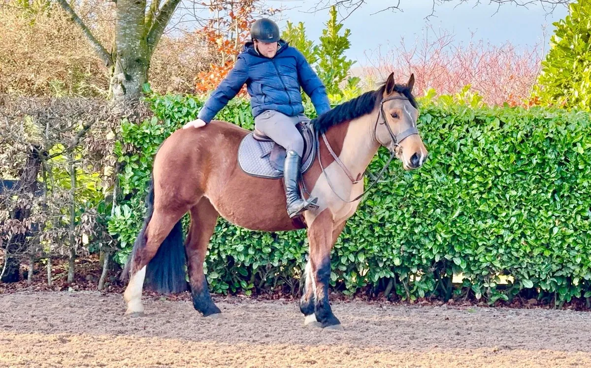 BIG COB- QUIET 😍😍 - Image 3