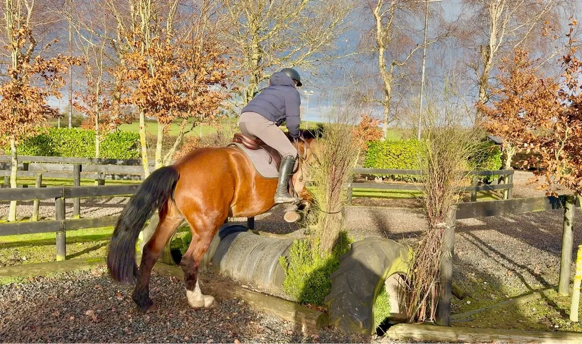 BIG COB- QUIET 😍😍 - Image 4