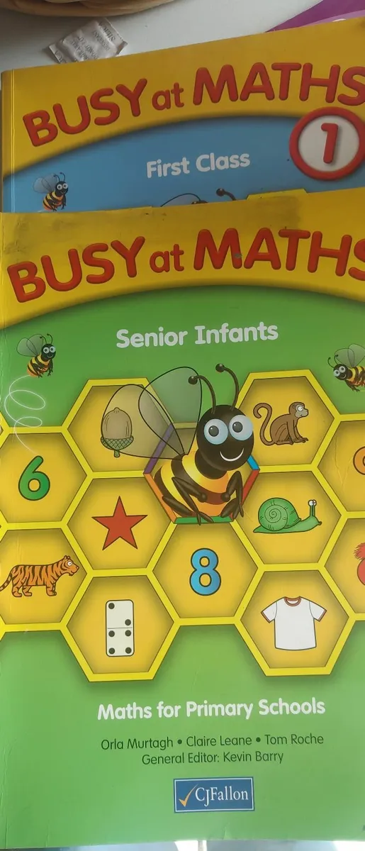 Used busy at maths senior infants cjfallon mental