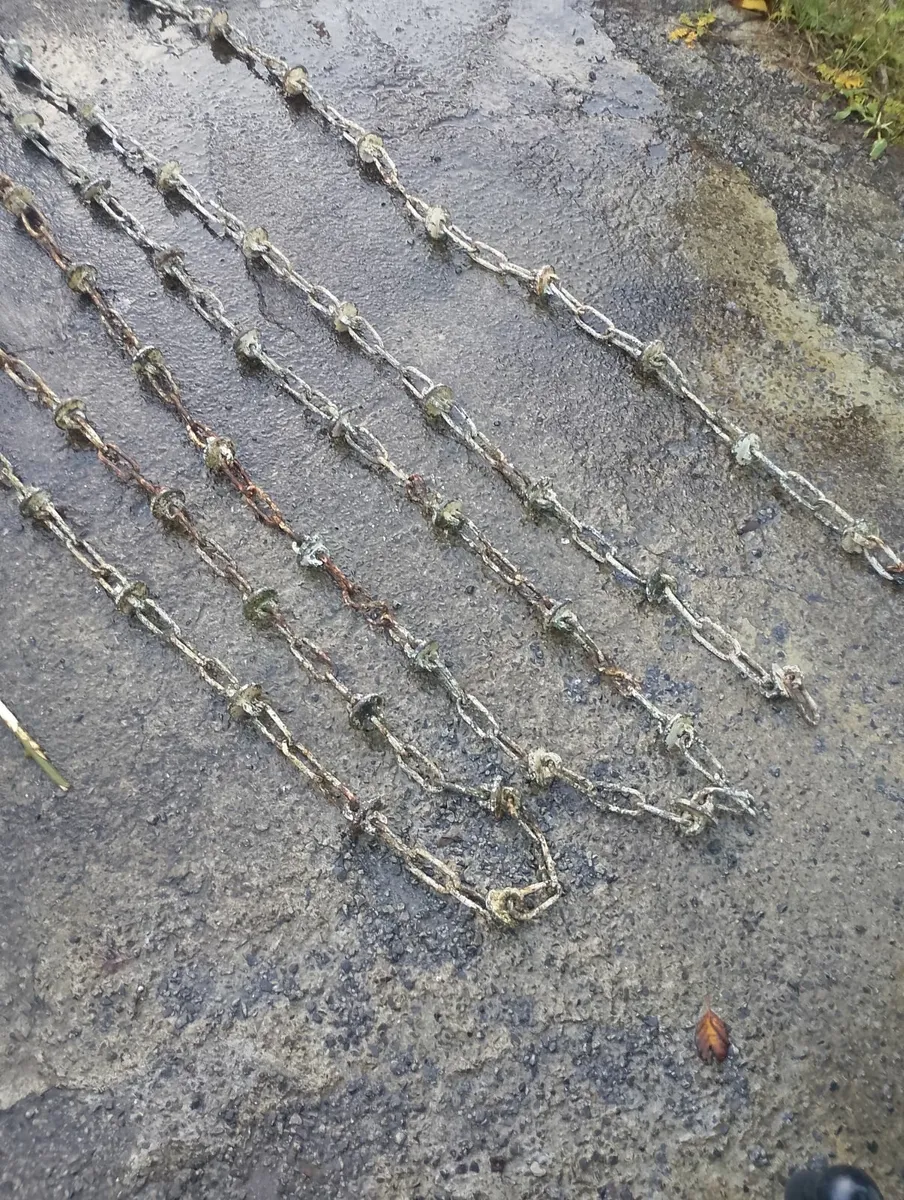 Old vintage galvanized entrance chain - Image 1