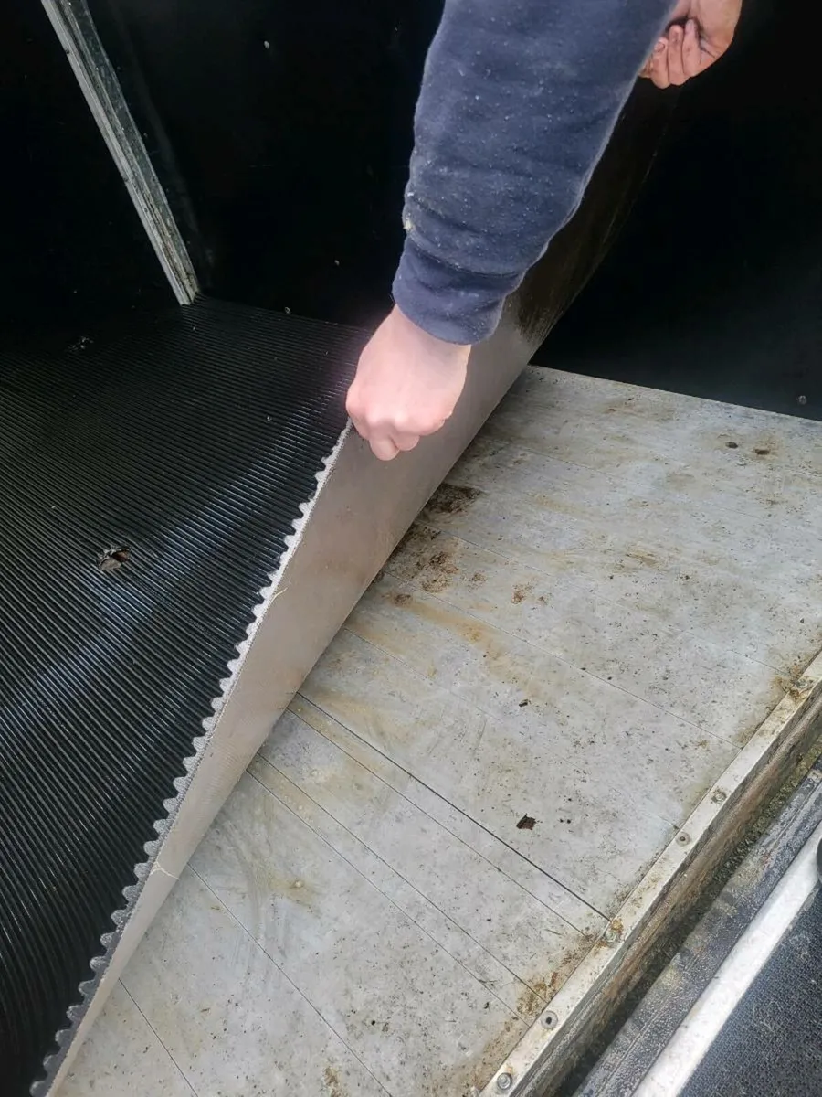 Ifor Williams horsebox - Image 2