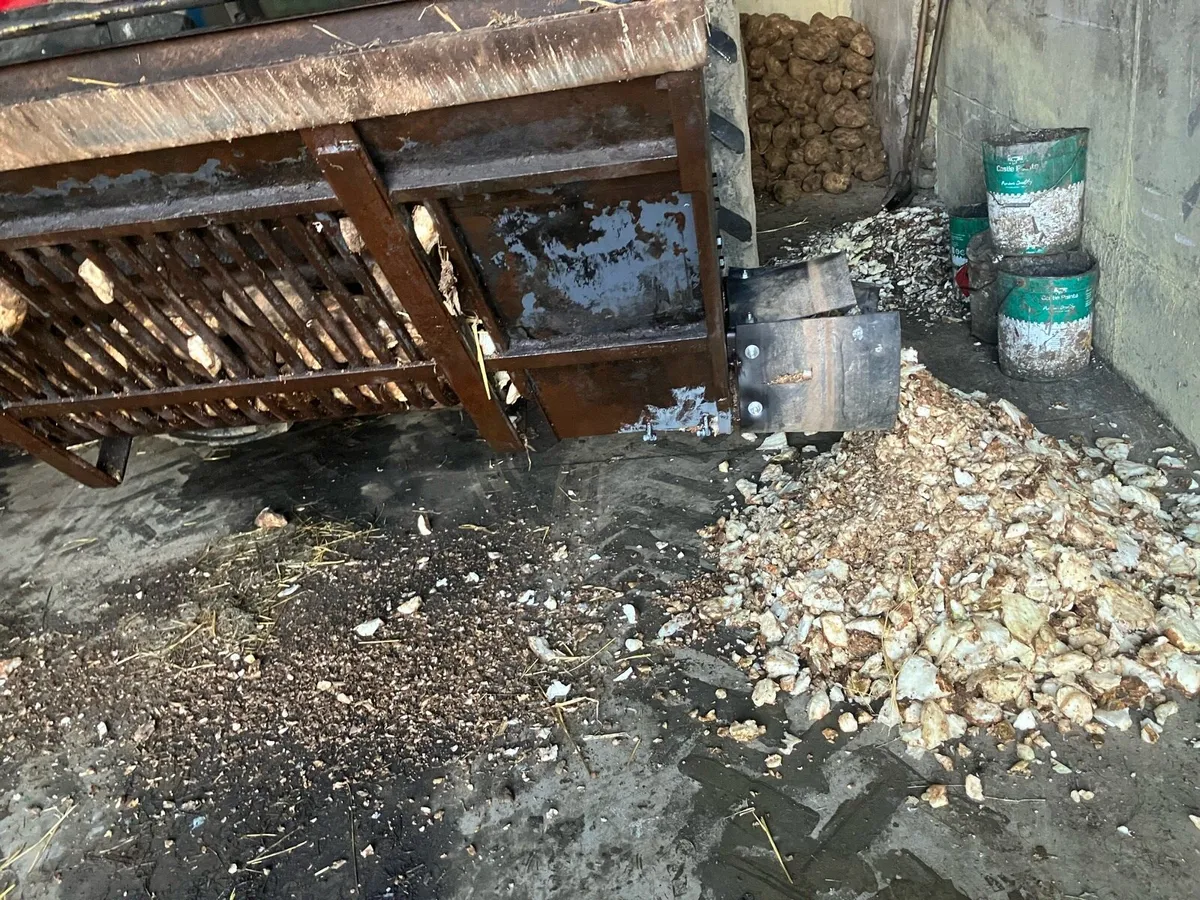 Beet chopper - Image 3