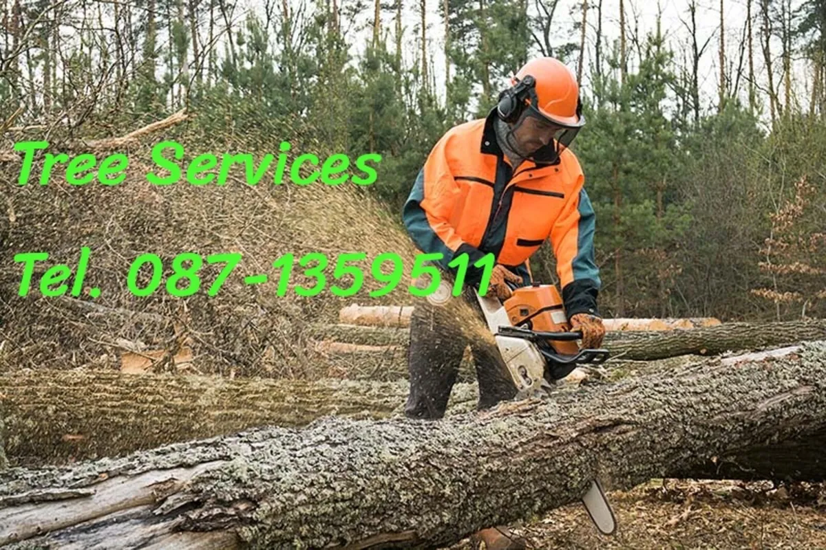 Tree Services