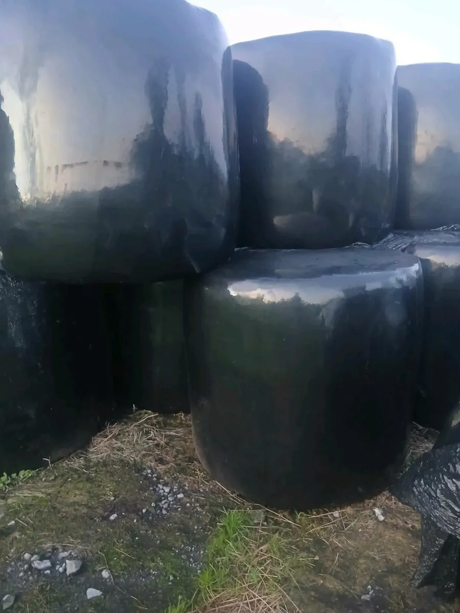 50 bales for sale