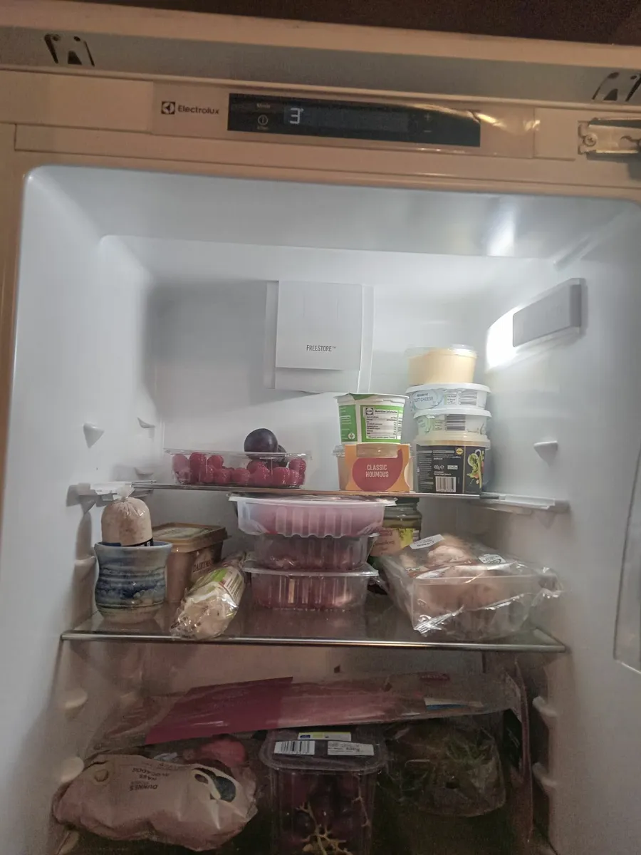 Integrated Fridge - Image 2