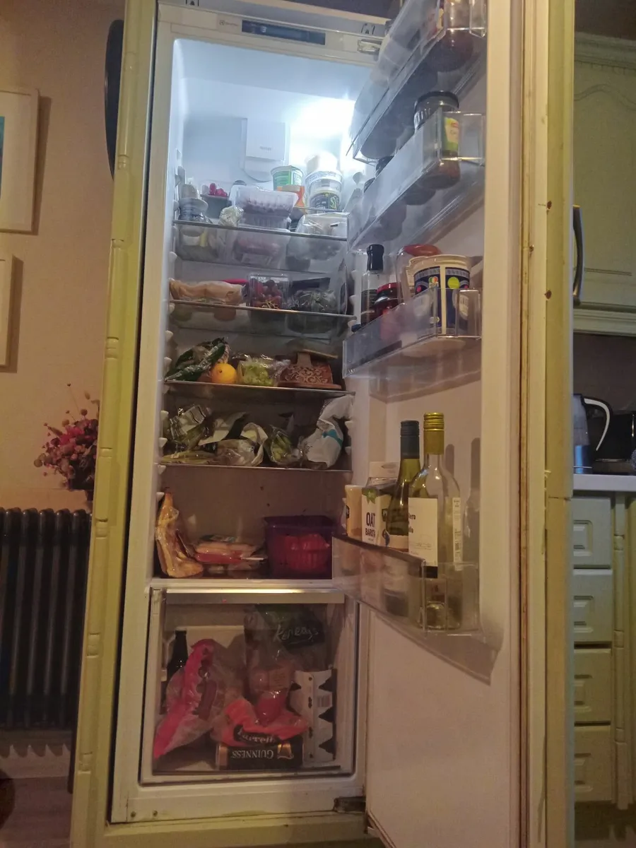 Integrated Fridge - Image 3