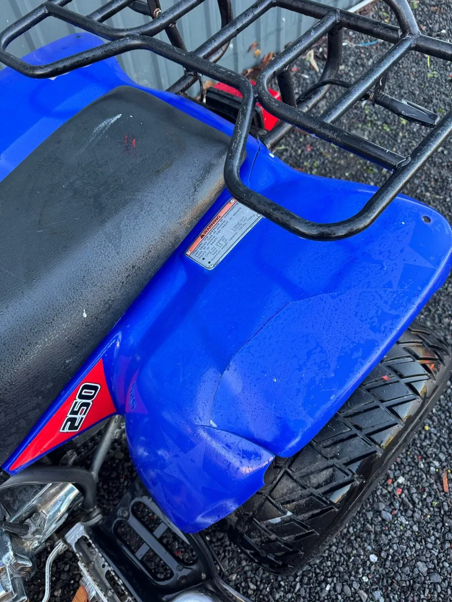 250cc SMC RAM quadzilla (road legal) - Image 4