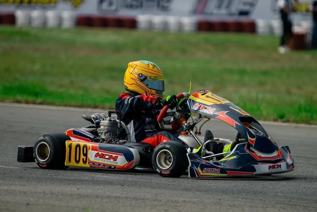 Go kart Professional racing Kart - Image 1