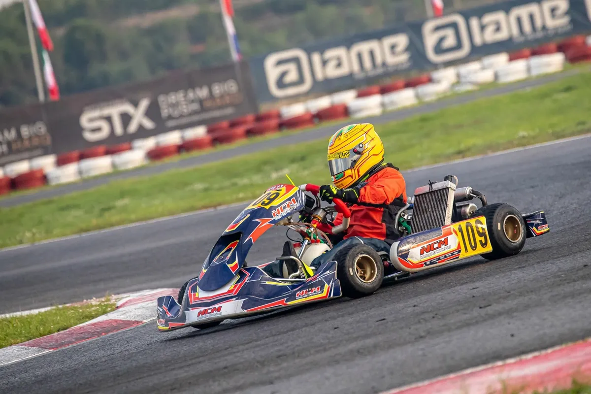 Go kart Professional racing Kart - Image 2