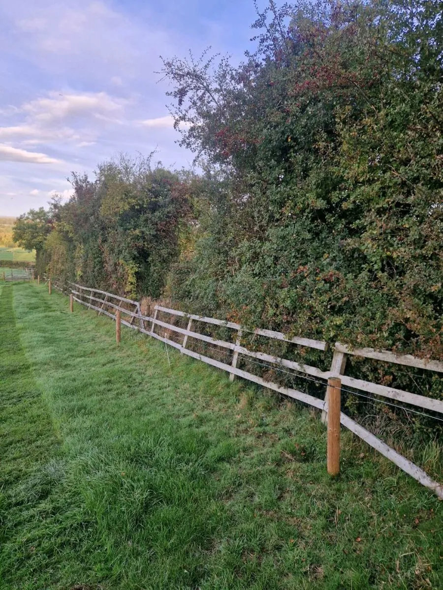 Digger, dumper trailer hire - Image 4