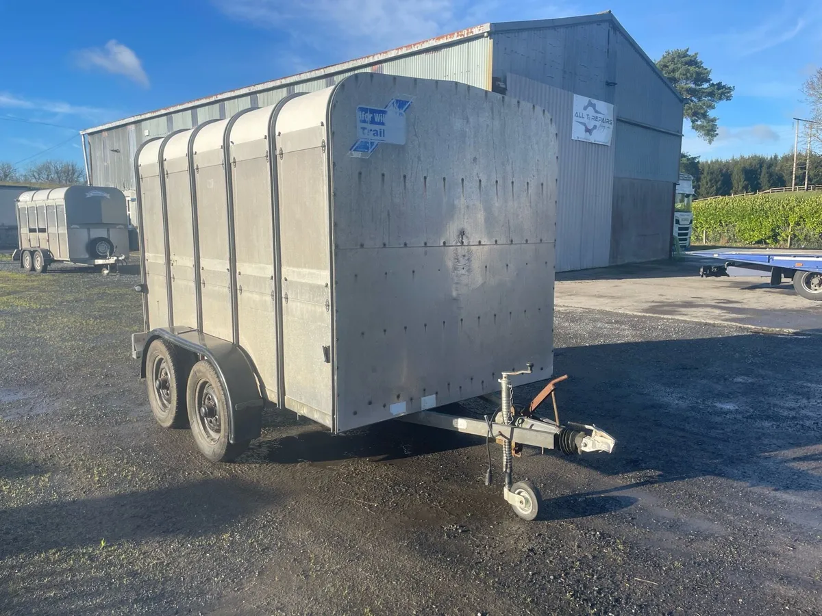 Ifor Williams TA510G 10 x 6 Livestock - Image 1