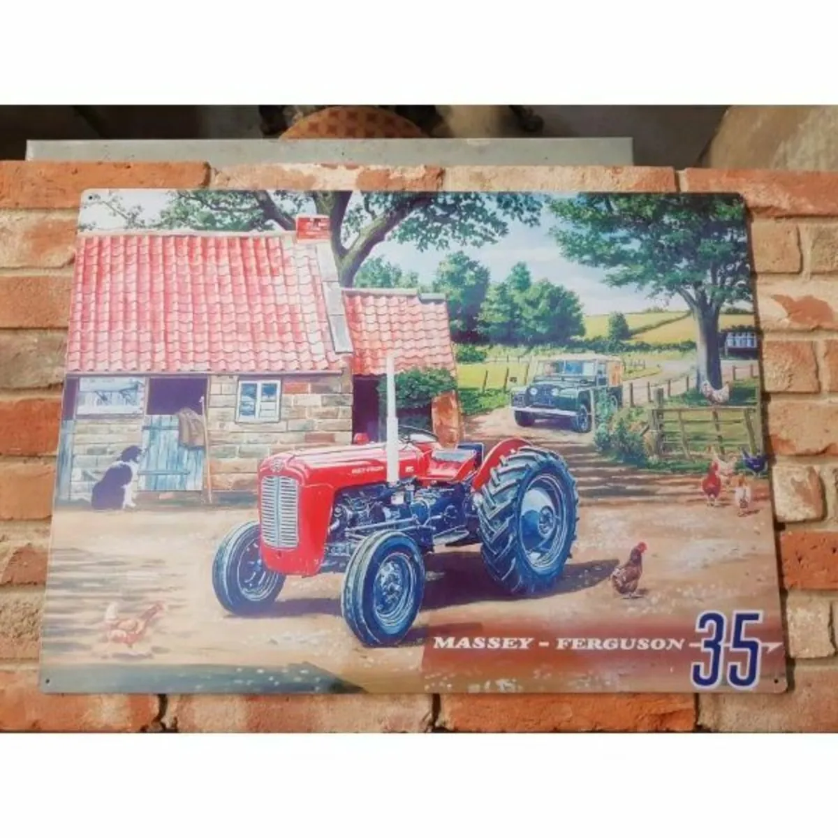 Ferguson – Red – Large – HS84