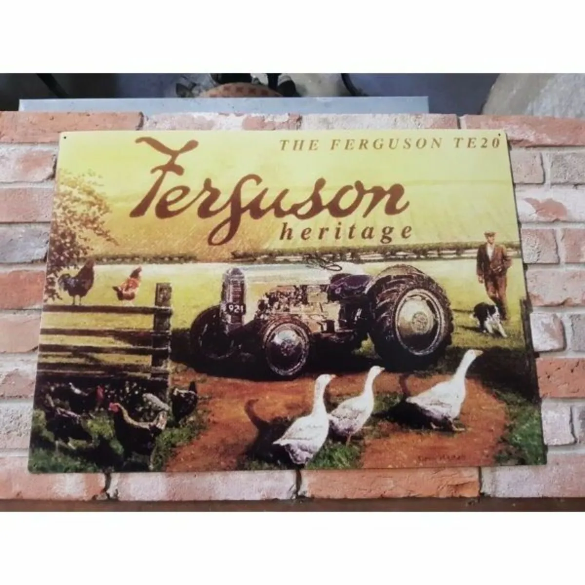 Ferguson – Yellow – Large – HS83