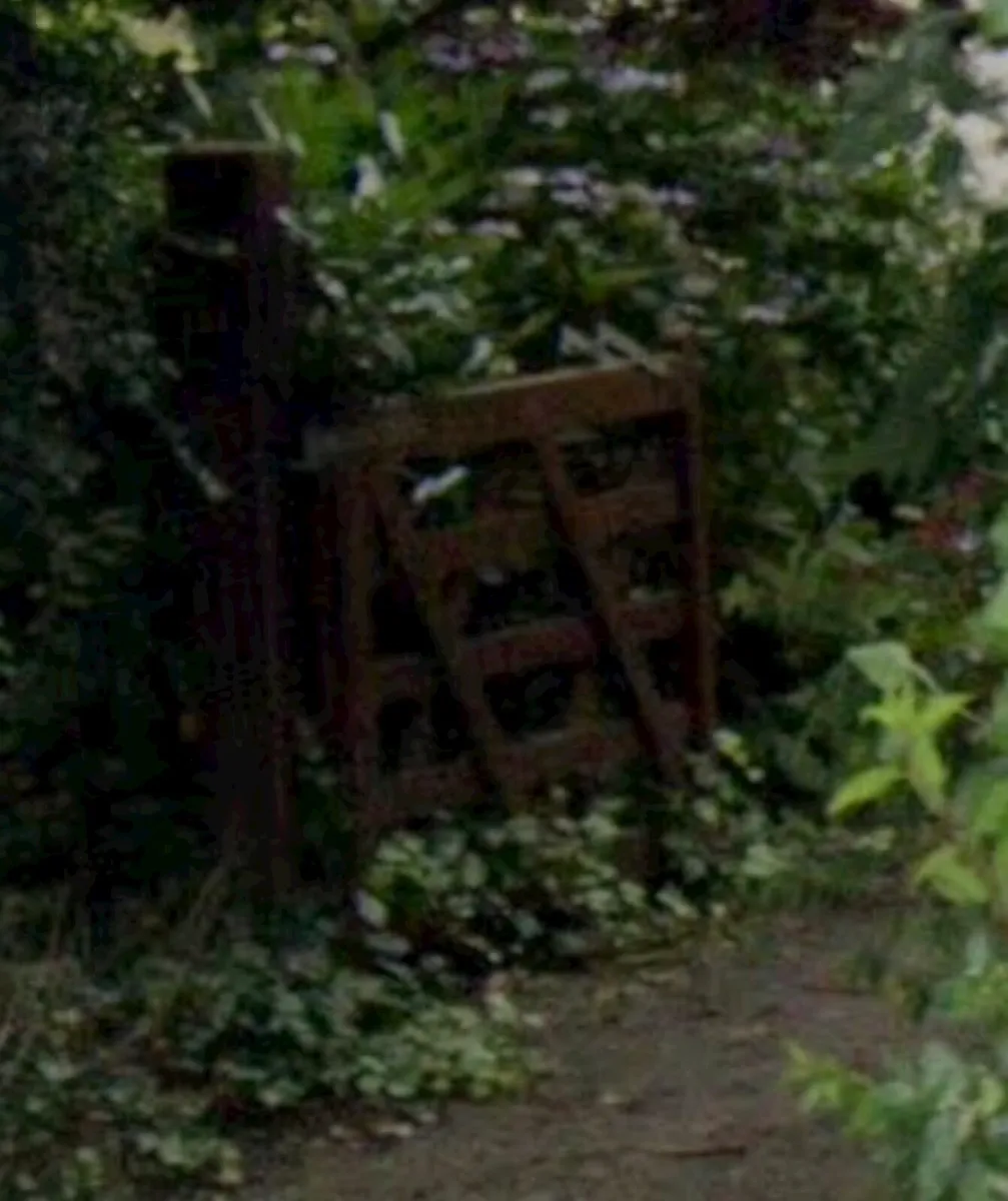 Timber gates - Image 2