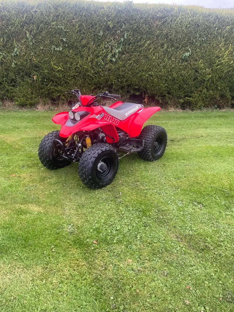Quadzilla 100cc race quad - Image 2