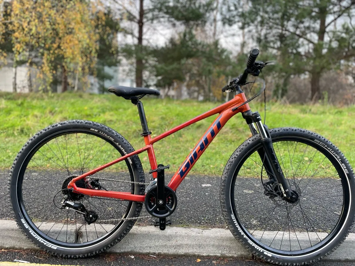 Teens Mountain Bike - Image 2