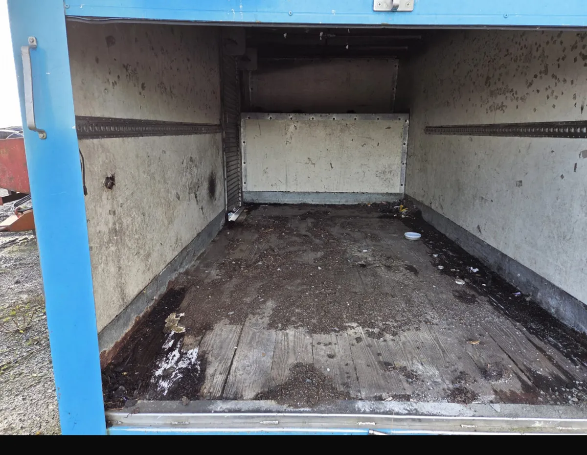 Yard Clearance All must go - Image 2