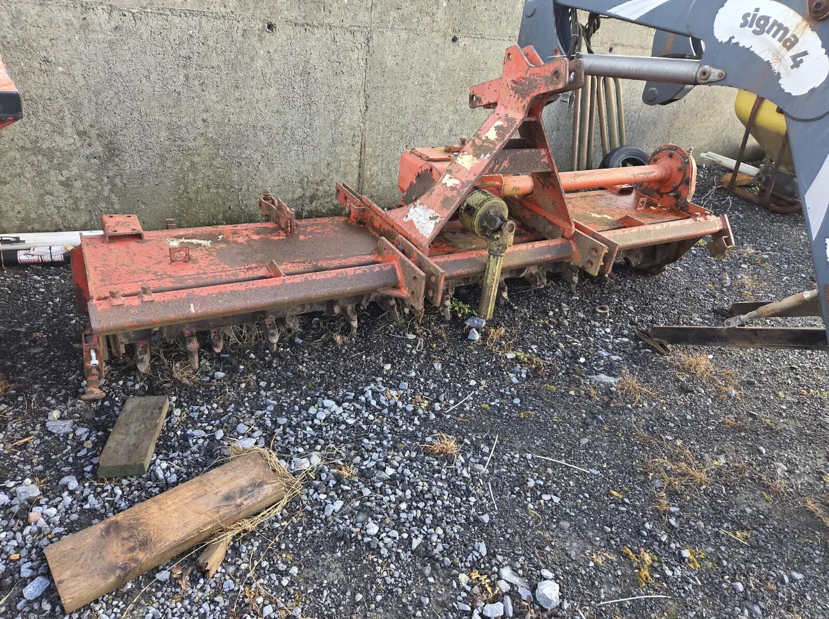 Yard Clearance All must go - Image 3