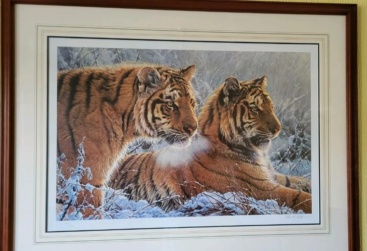 Ltd Edition "Siberian Gold" Picture by Alan M Hunt - Image 4