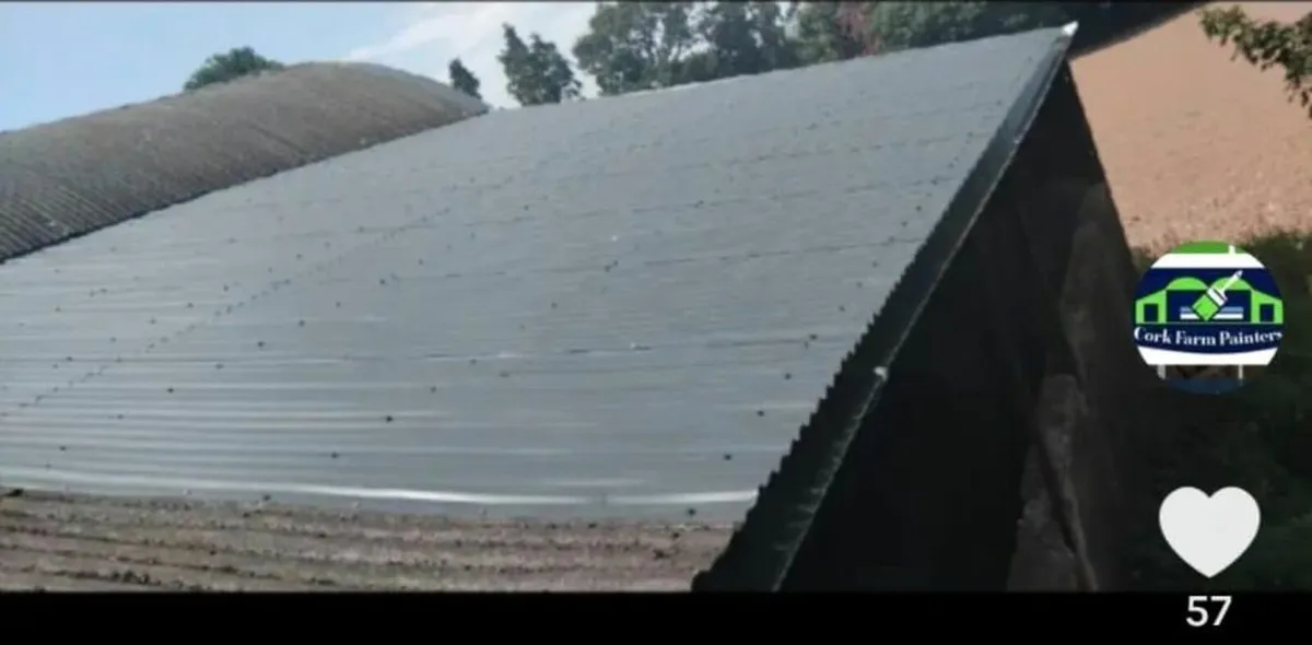 Farm Shed Repairs & Painting - Image 2