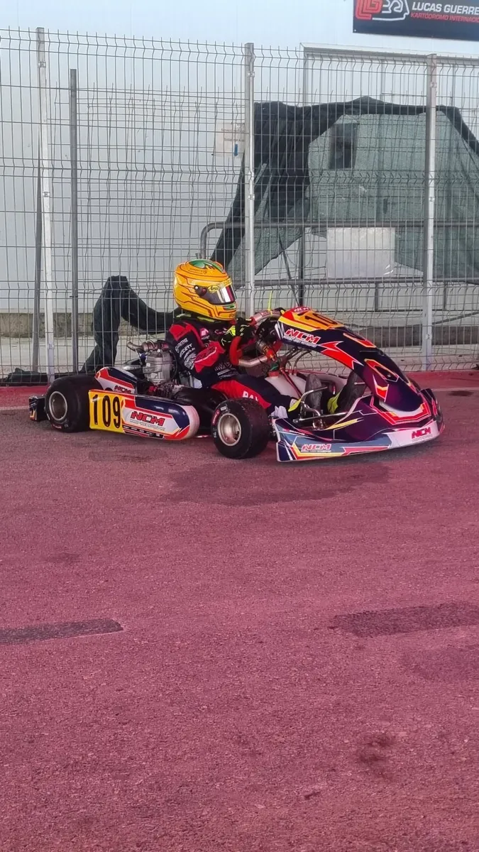 Go kart Professional racing Kart - Image 3