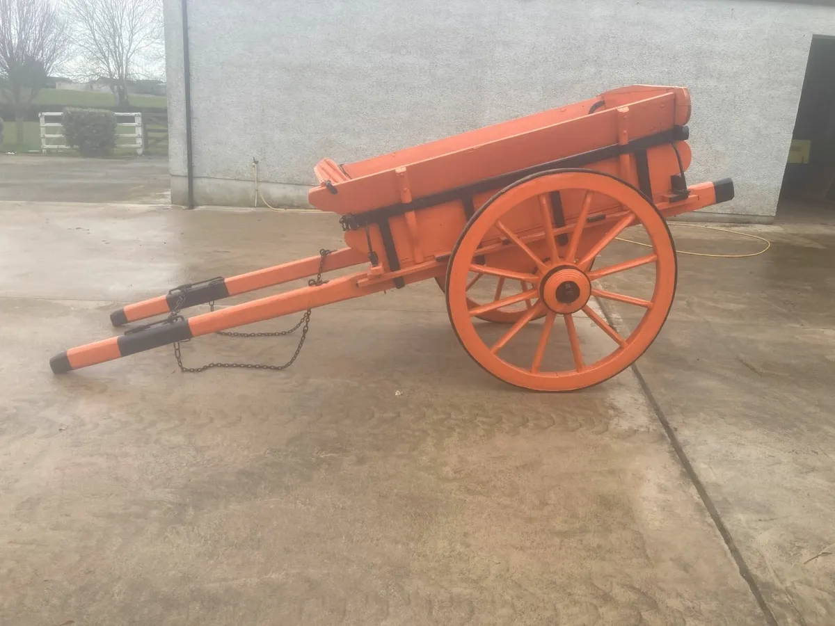 Horse cart - Image 2