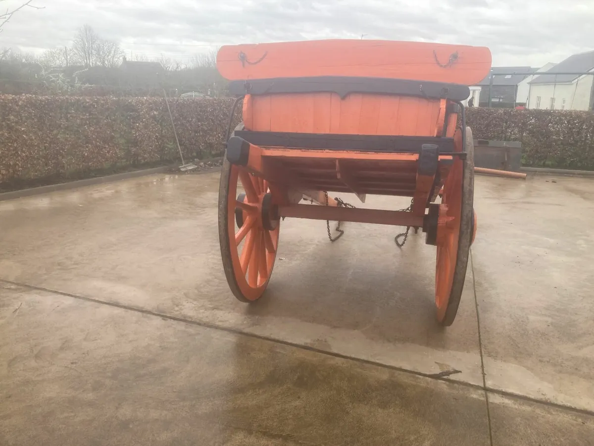 Horse cart - Image 3