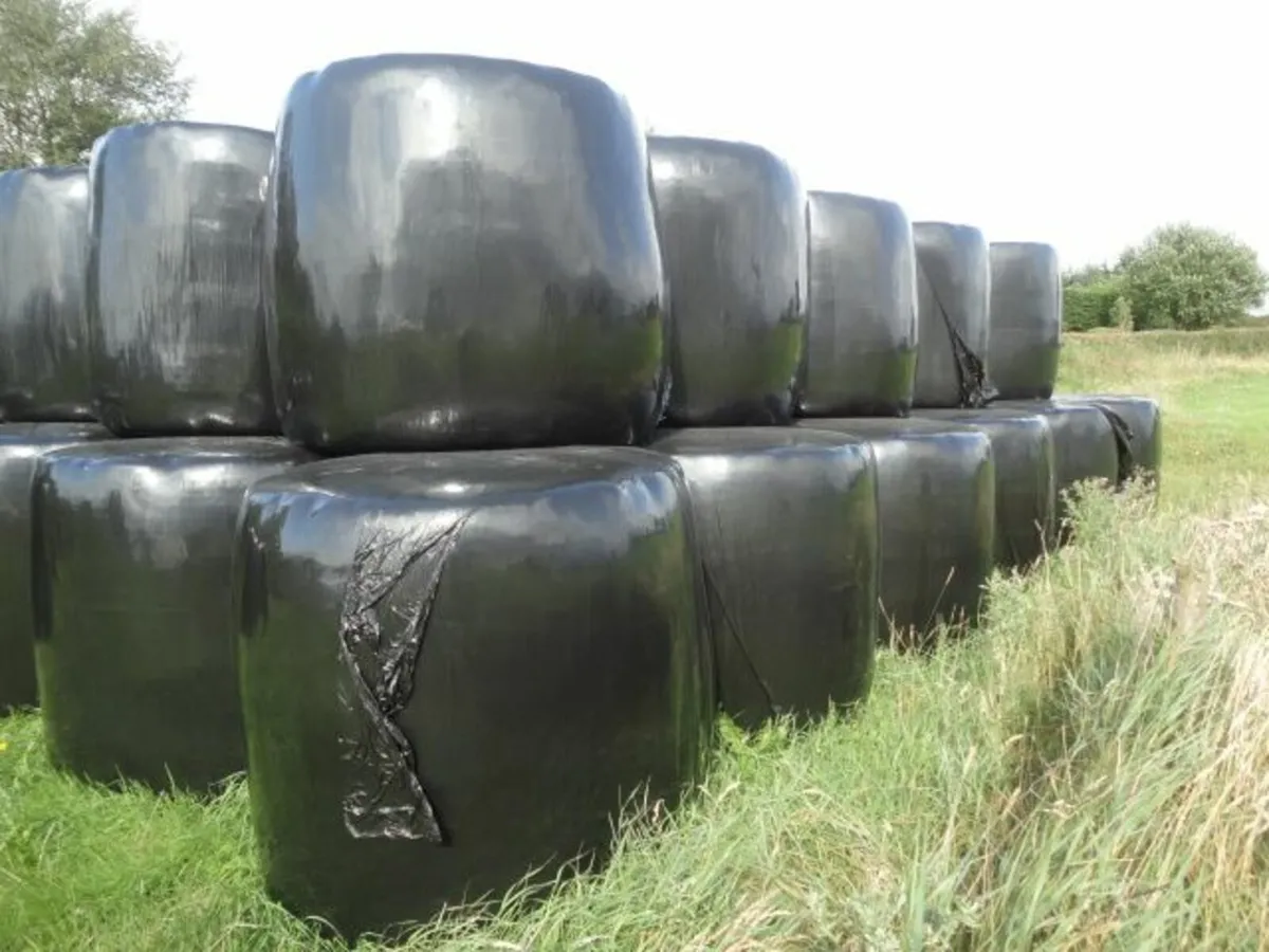 silage - Image 1