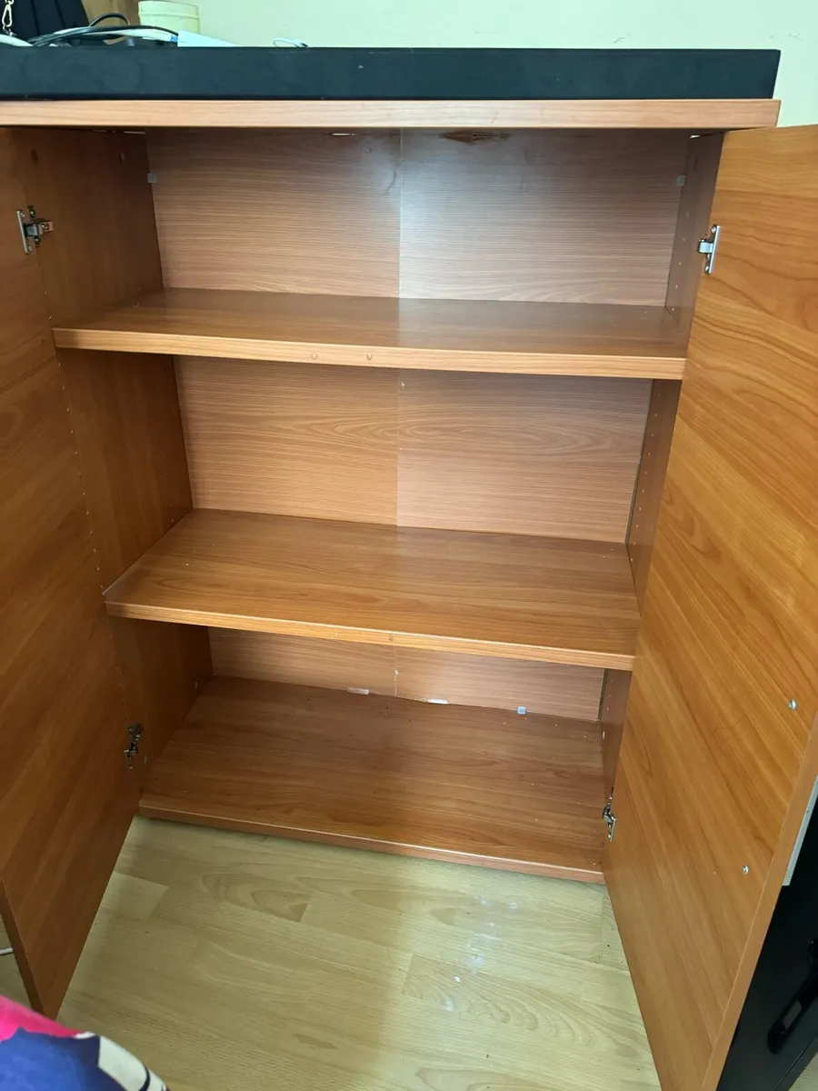 Double door cabinet - Image 1