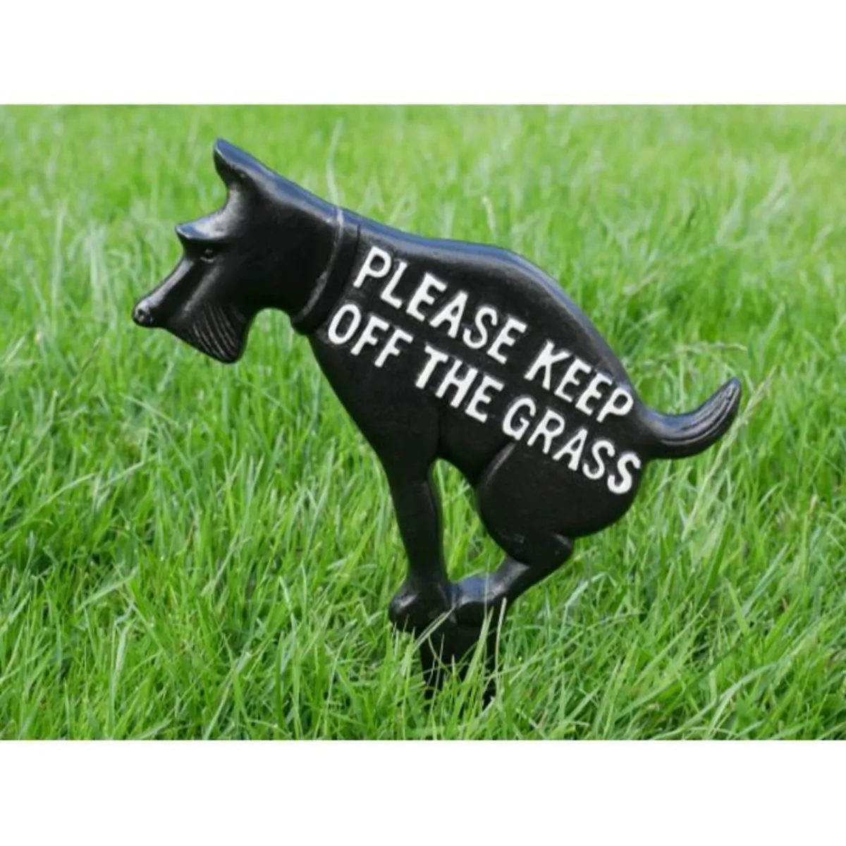 Grass Spike – Dog Pointy ears – keep of grass – D8