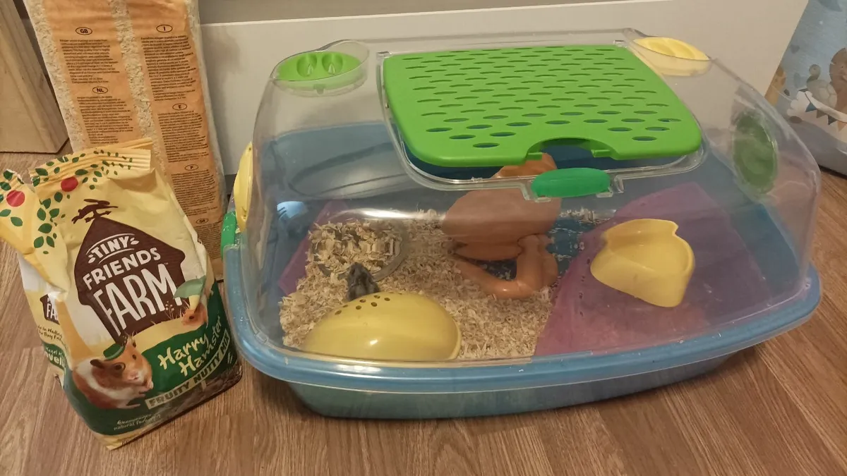 Dwarf Hamster and cage - Image 1