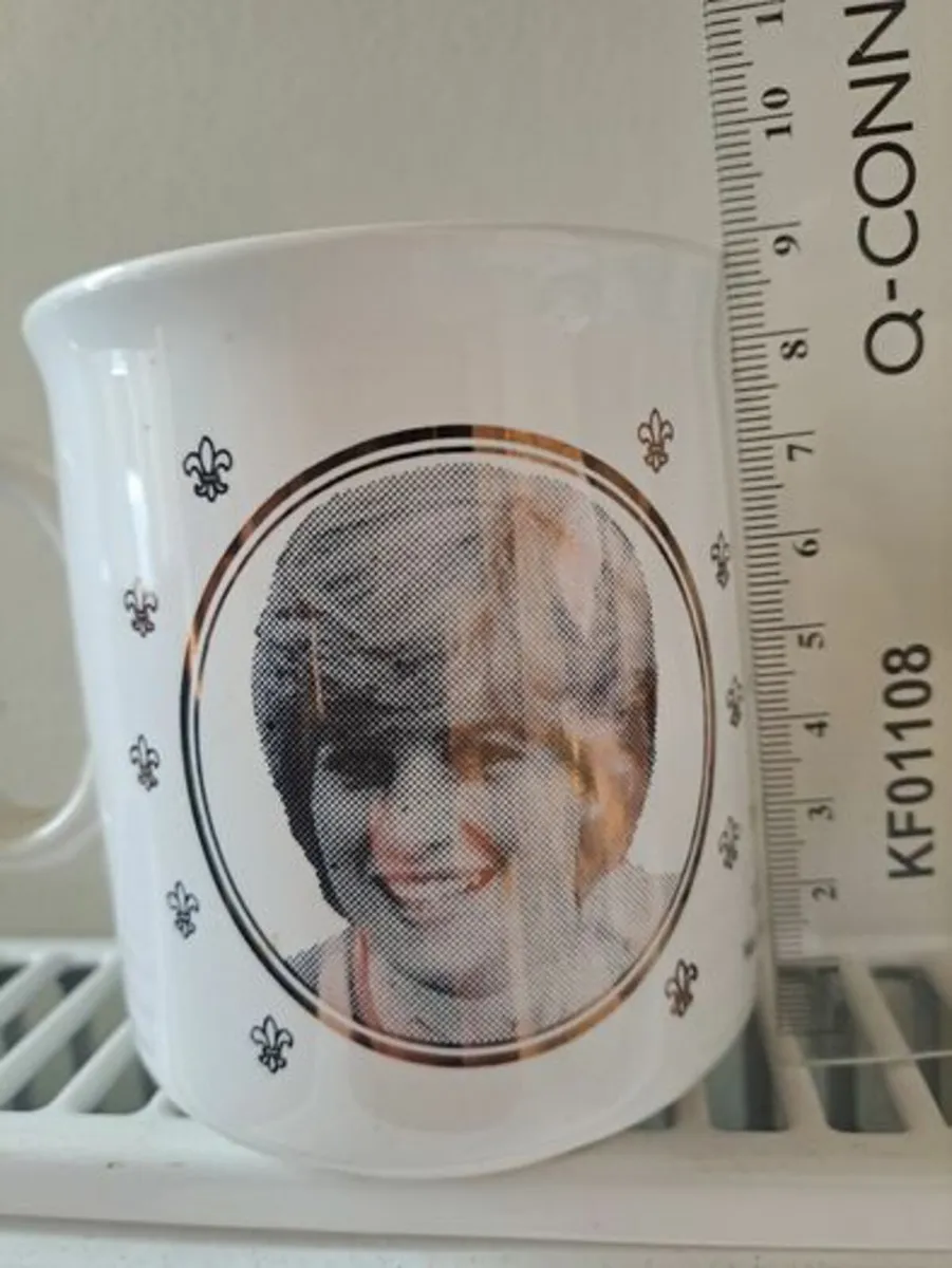 Silver Charles and Diana wedding mug - Image 3