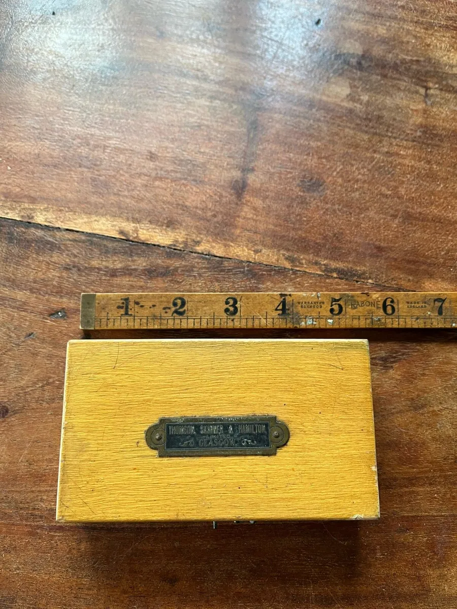 Cased Apothecary Weights - Image 2