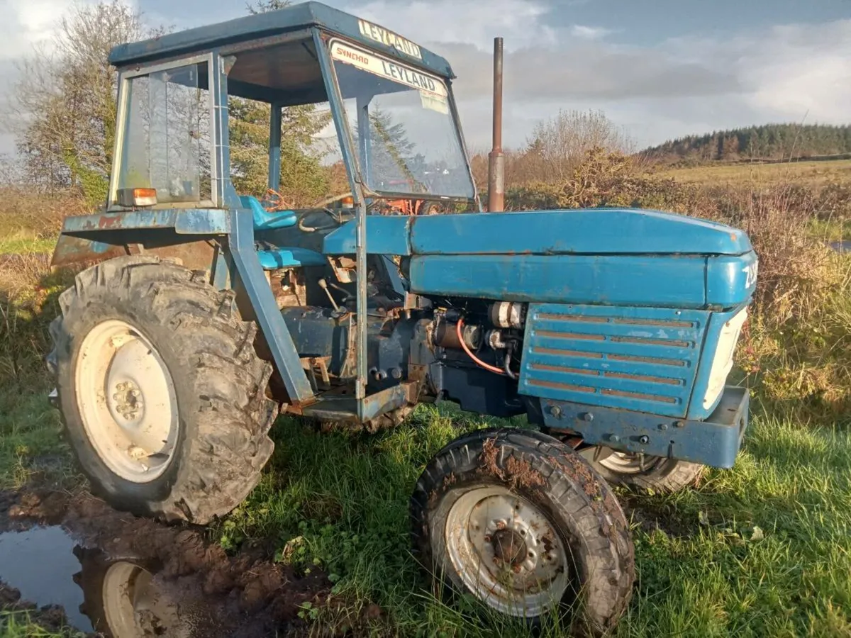 Leyland 245 - Image 2