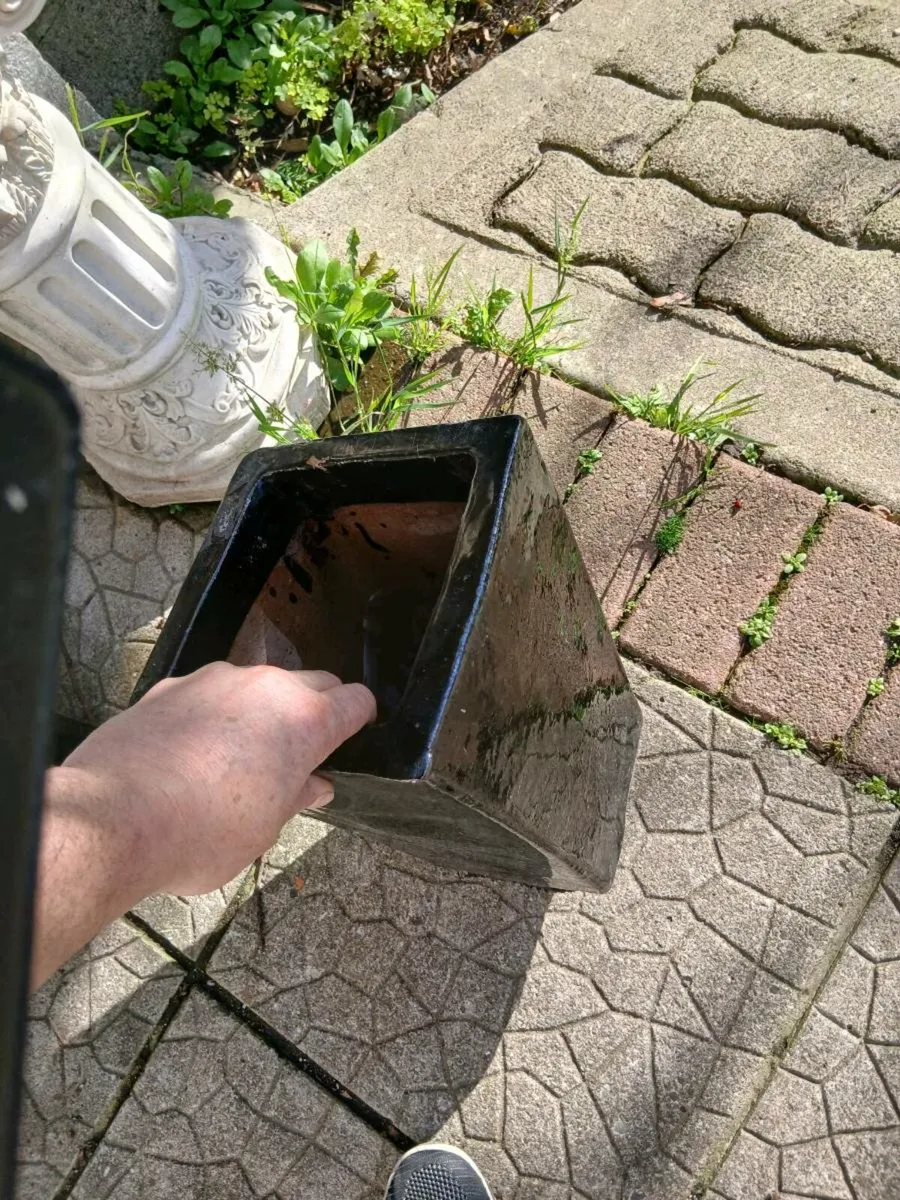 Flower pots x 2 - Image 2