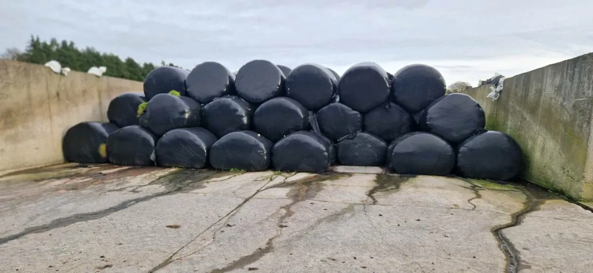 Silage Bales