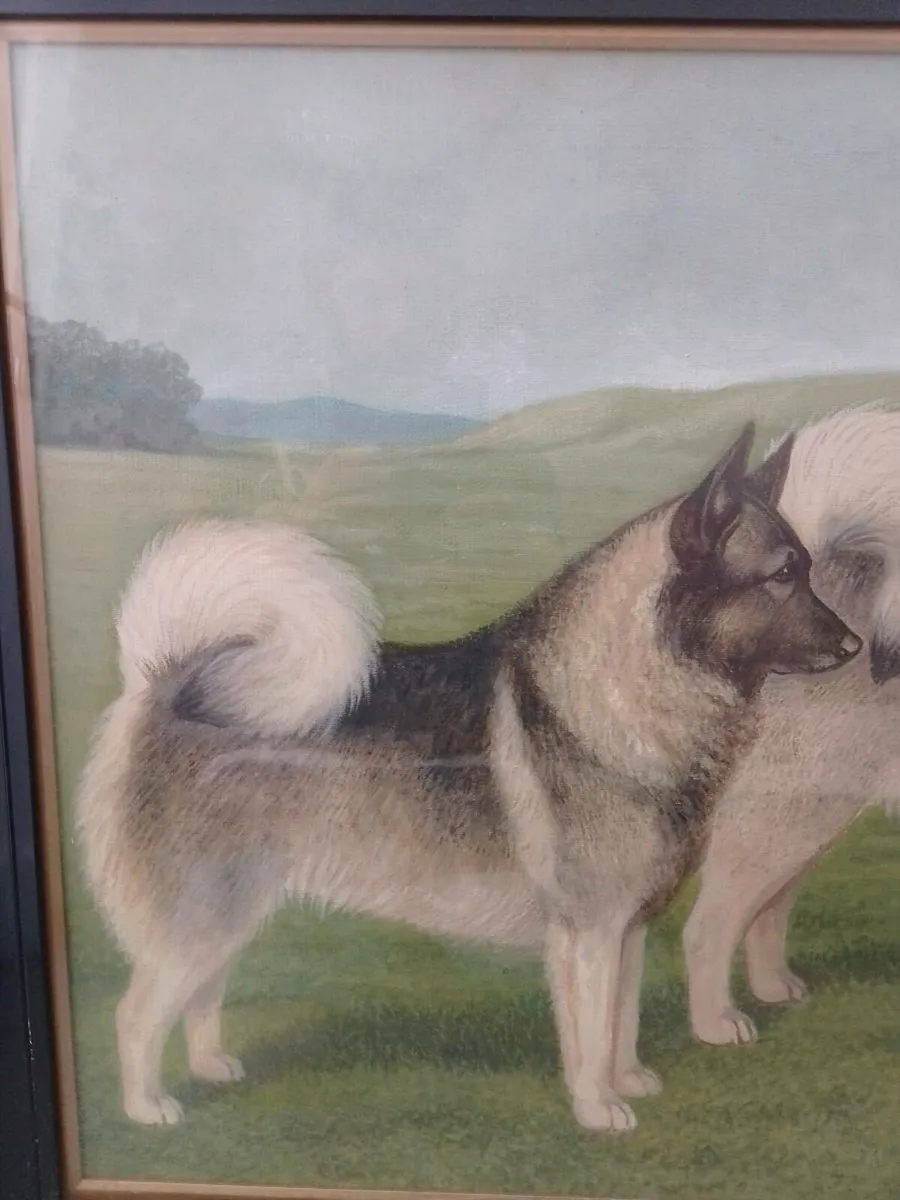 Antique R.A.V Hamilton Norwegian elkhounds oil pai - Image 2