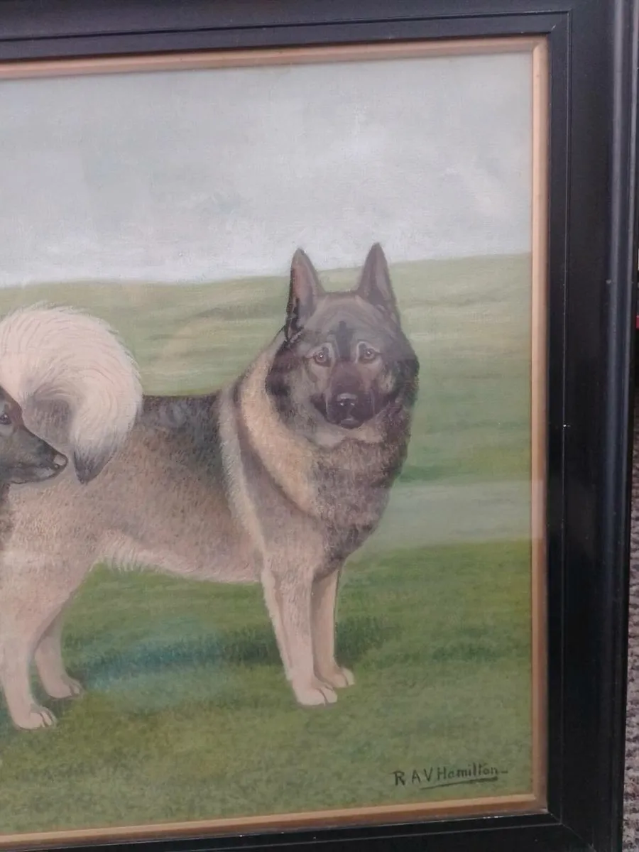 Antique R.A.V Hamilton Norwegian elkhounds oil pai - Image 4