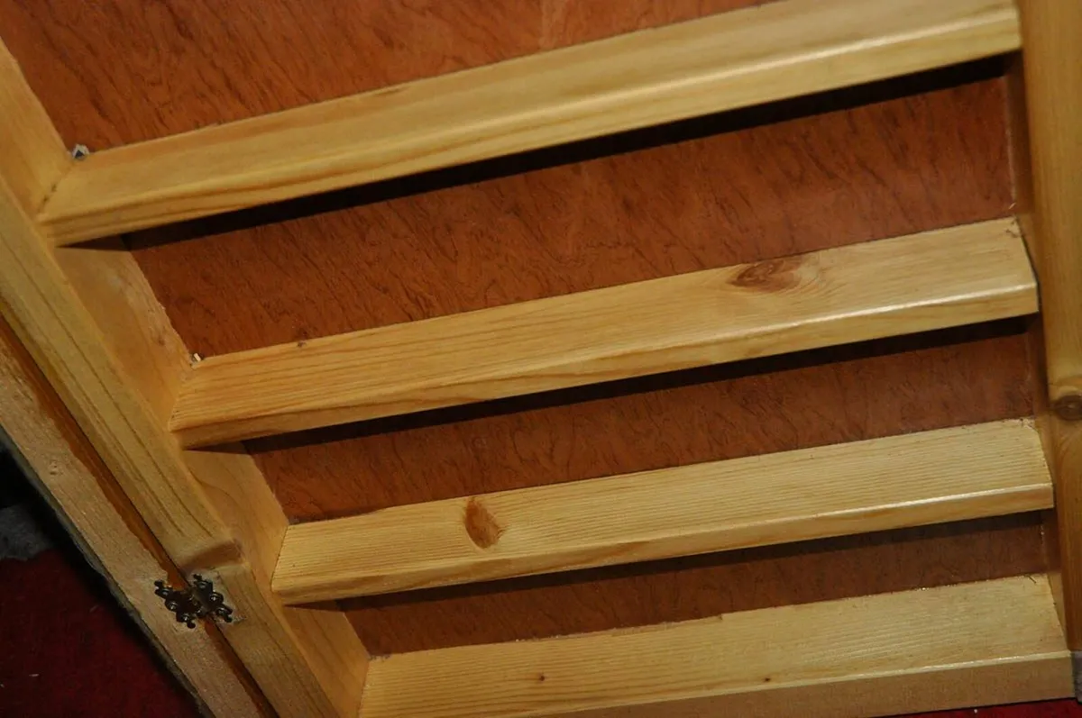 Display Case - Image 3