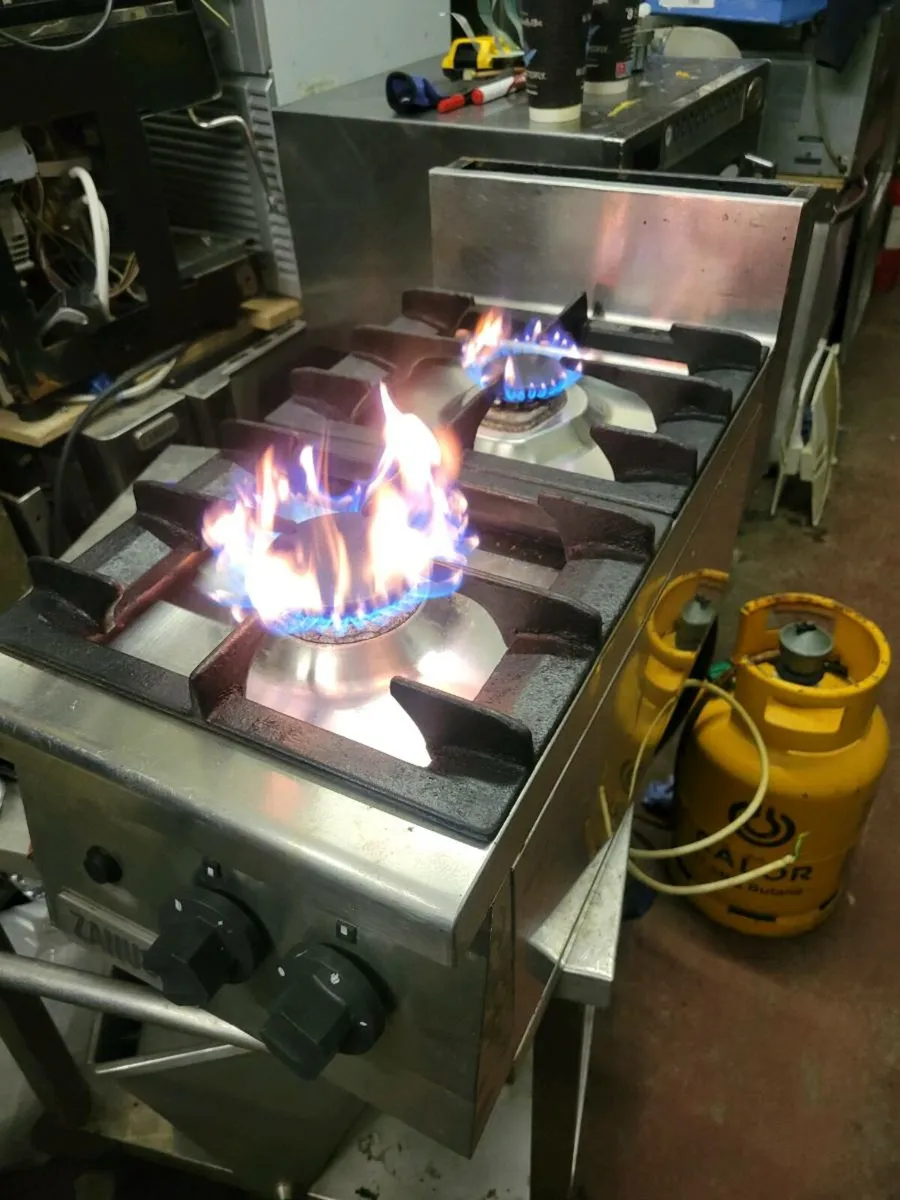 Cooker 2 Hob Natural Gas ZANUSSI - Image 2