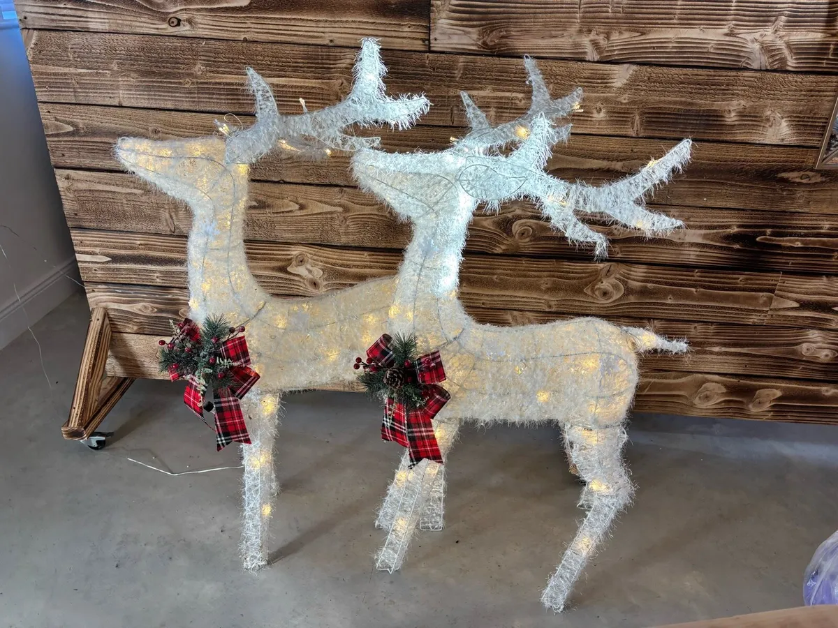 Christmas Light Up Reindeer Valued at €380 - Image 1