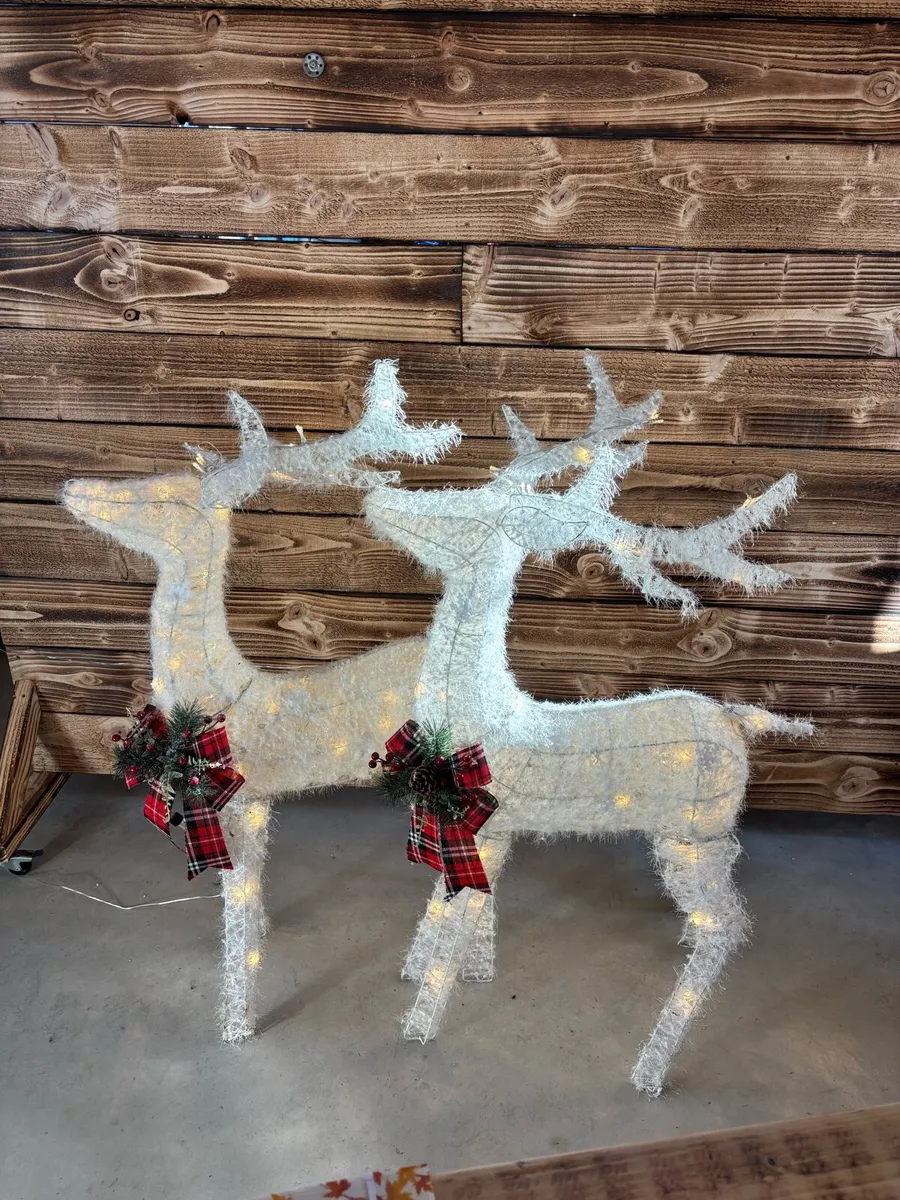 Christmas Light Up Reindeer Valued at €380 - Image 2