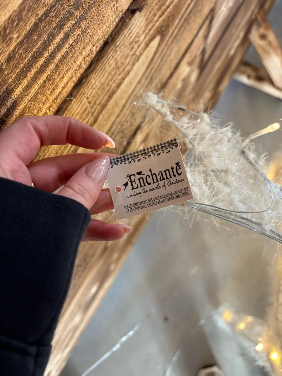 Christmas Light Up Reindeer Valued at €380 - Image 3