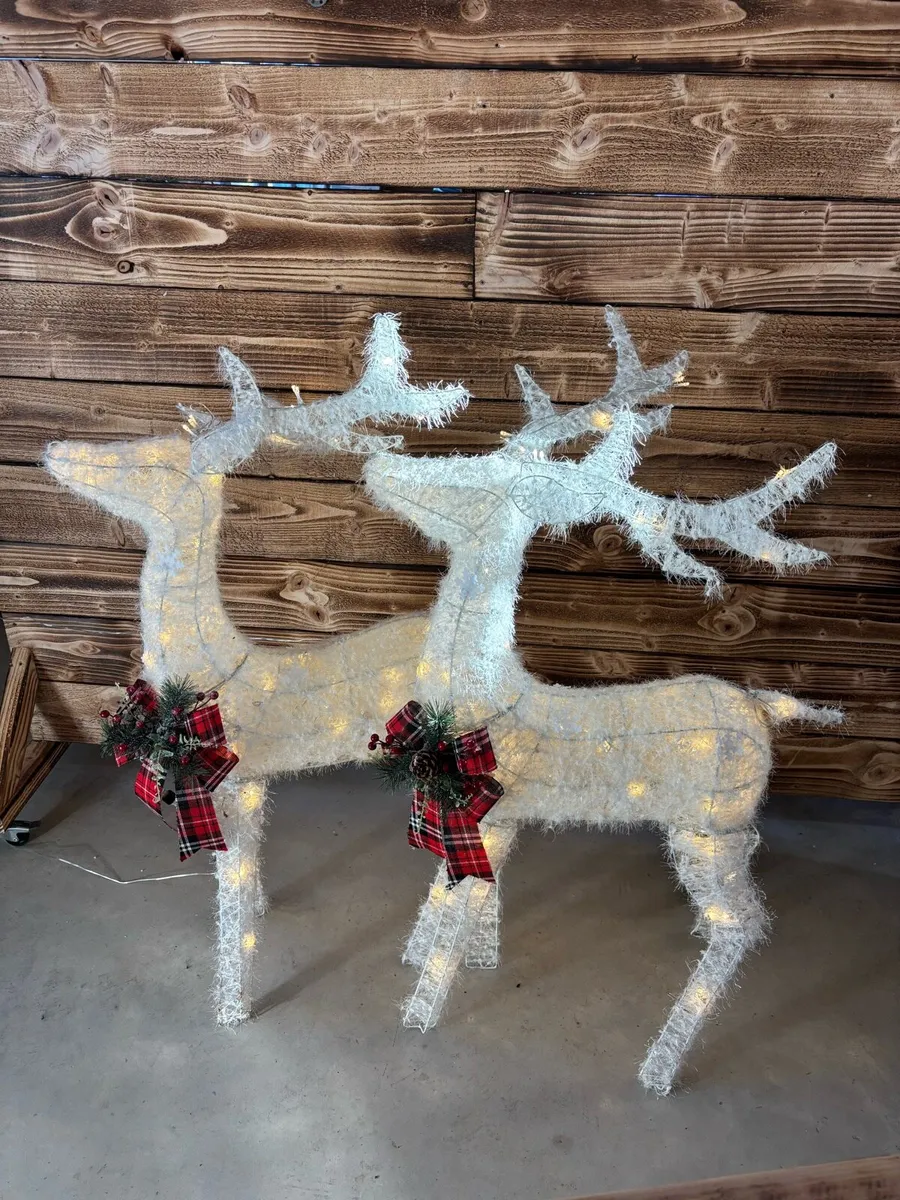 Christmas Light Up Reindeer Valued at €380 - Image 4