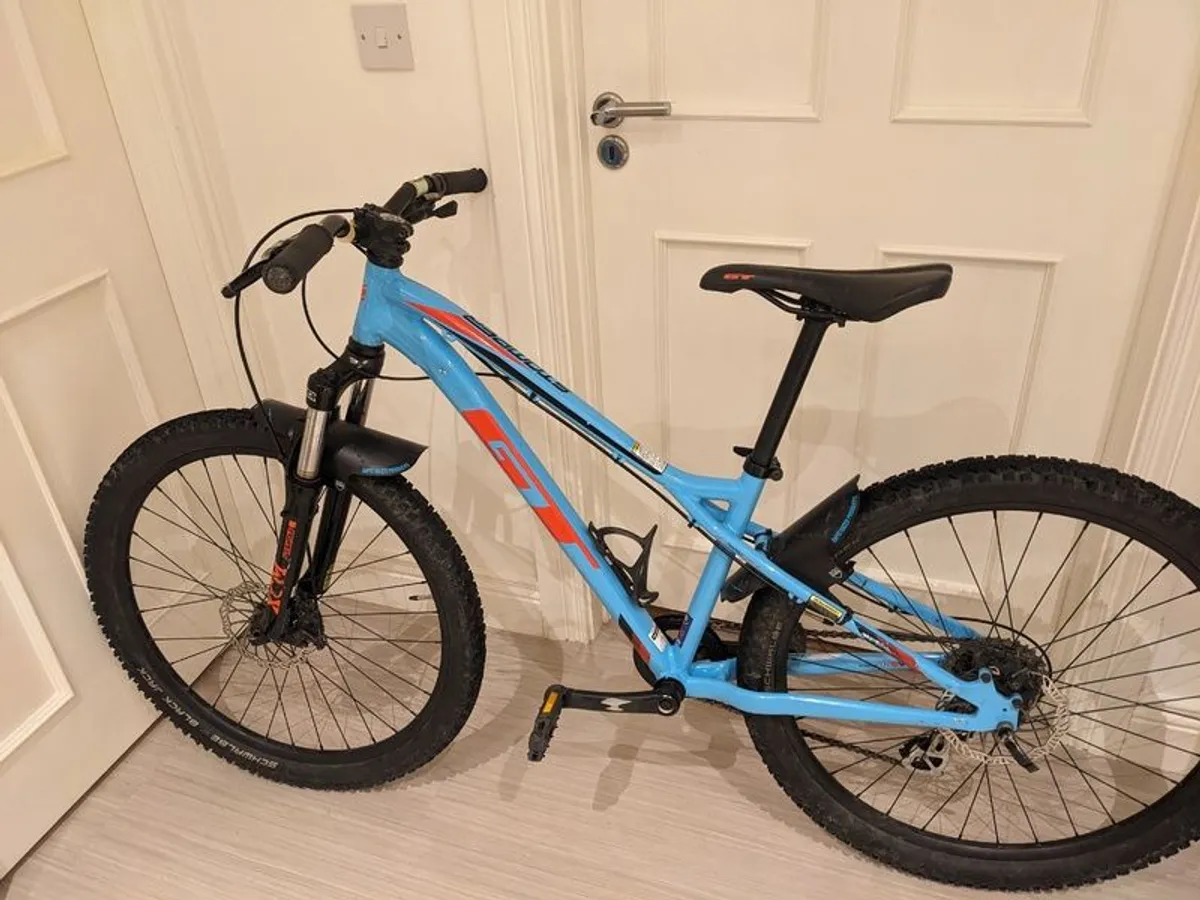 GT Ace Stomper older kids/youth mountain bike - Image 1